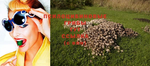 индика Нея