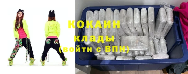 индика Нея
