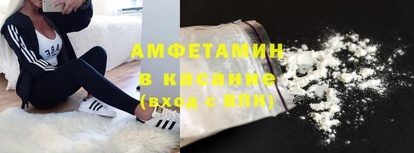 индика Нея