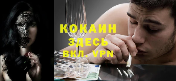 индика Нея