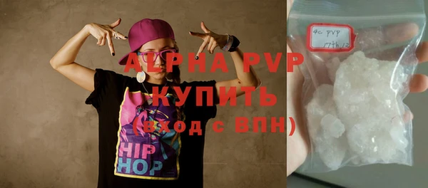 индика Нея