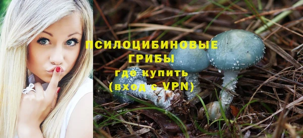 индика Нея