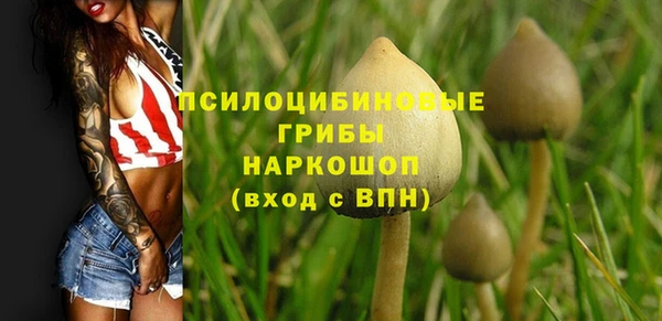дурь Нефтекумск