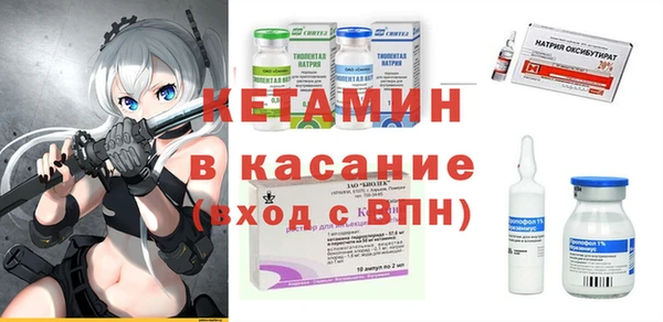 индика Нея